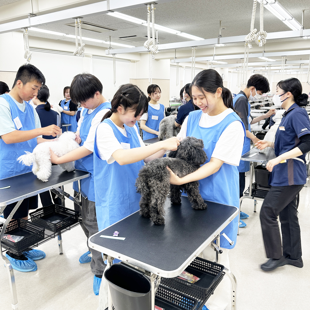 高校３年生対象！入学前のプレ授業♪